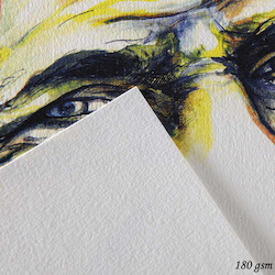 Drawing/Printmaking: Canson "C" à grain