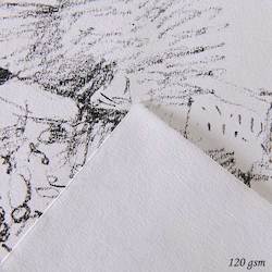 Drawing/Printmaking: Canson 1557