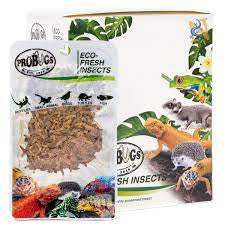 Reptile: Pro Bugs Riceworm 15gm