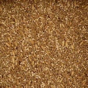 Birds: Tui Bird Seed - Budgie Mix 500gm