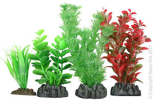Mixed Aquarium PLants - 4 Pack