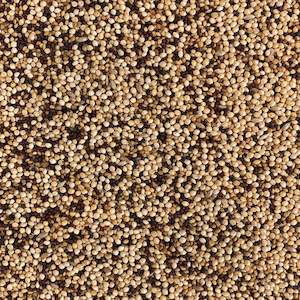 Bird Food: Tui Bird Seed - Finch Mix 500gm