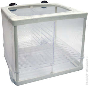 Aquariums Tanks: Aquarium Breeder Net Seperation Box - For Babies, sick or injured fish