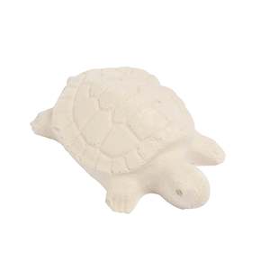 Turtle Health Block - Essential calcium and minerals