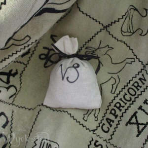 Zodiac: Capricorn Zodiac Pouch