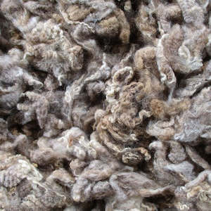 Lambs Wool Corriedale - Light Brown 100gm
