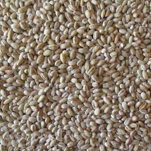Barley, Pearl 50gm