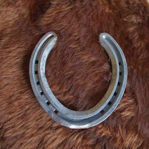 Iron Horseshoe
