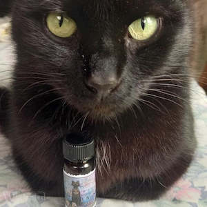 Bastet the Cat Goddess Oyle Blend