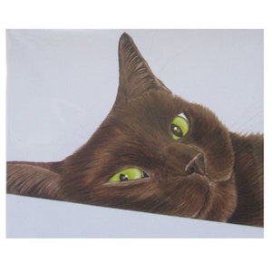 Greeting Cards: Greeting Card Furry Brown Cat