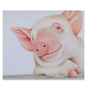 Greeting Cards: Greeting Card Furry Logic Pig -Clearance Stuff