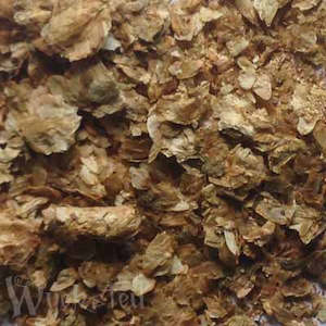 G L: Hops - Little Wolf Plant 20gm