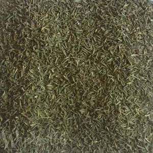 Thyme, Common Garden 20gm