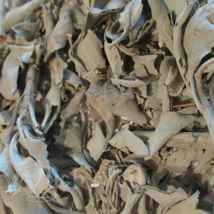 White Sage 10gm