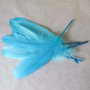The Crafty Witch: Feathers Pale Blue pk 5