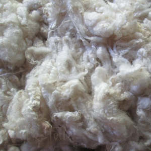 Lambs Wool Corriedale - 100gm