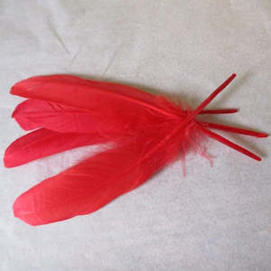 Feathers Red pk 5