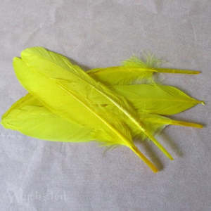 Feathers Yellow pk 5