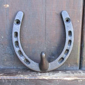 Horseshoe Hook