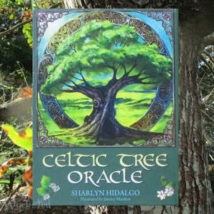 Black Bear Apothecary: Celtic Tree Oracle