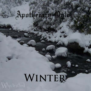 Winter Solstice: Winter Oyle Blend