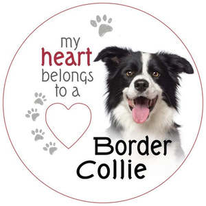 Familiars: Border Collie Magnet