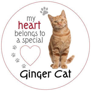 Ginger Cat Magnet