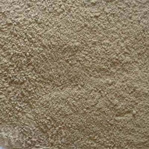 Burdock Root Powder 20gm