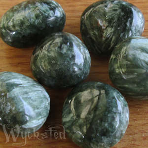 Taurus: Seraphinite 6gm