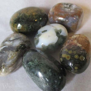 Capricorn: Jasper, Ocean  11-12gm