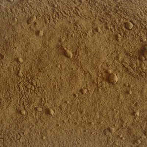 Herbs Spices Barks And Seeds: Turkey Rhubarb Root Powder 20gm