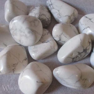 Crystals And Gemstones: White Howlite 10-14gm