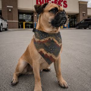 Outdoor Pet Gear: Alpine Stars Dog Bandana - Rugged Americana Pet Bandana