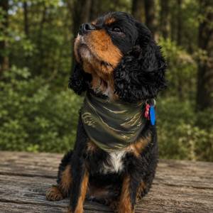 Outdoor Pet Gear: Wild Ridge Dog Bandana – Clip-On Outdoor Pet Bandana