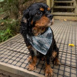 Outdoor Pet Gear: Glacier Flow Dog Bandana - Clip-On Pet Bandana