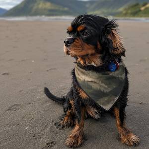 Outdoor Pet Gear: Elevation Grid Dog Bandana - Clip-On Pet Bandana