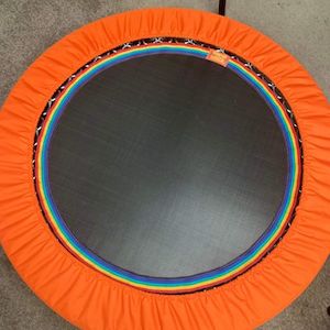 2. Ascension XenPod – Organic Orange – NZD