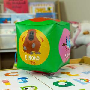 Classroom Resources: Māori Action Dice