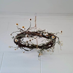 Products: Daisy Chandelier