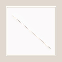 Floss & Accessories: Beading Needle 45mm