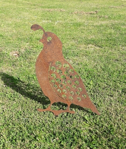 Quail – Large - Xstream Profiles