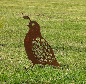 Products: Quail – Small - Xstream Profiles