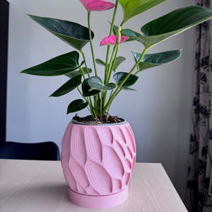 3d Prints: Ringo Planter Pot -plant not included