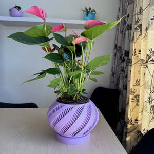 Krato Planter Pot Pastel Purple
