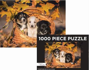 Kids Corner: Puzzle Landscape Puppies