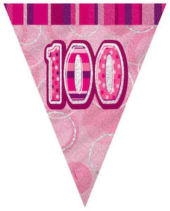 Glitz Pink  Birthday Flag Banner - 100