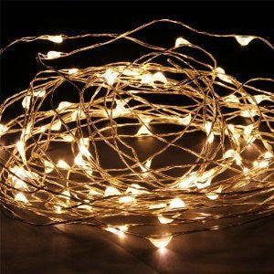 5m Warm Copper Wire Seed Lights (battery operated)