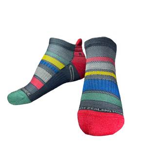 Yank Performance Merino Ankle Sock | Rainbow