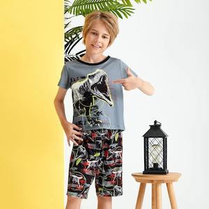 Dress: Trendy Kid Boy Dinosaur Animal Print Casual Set NZ