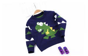 Dress: Boys Dinosaur Print long sleeve Sweater